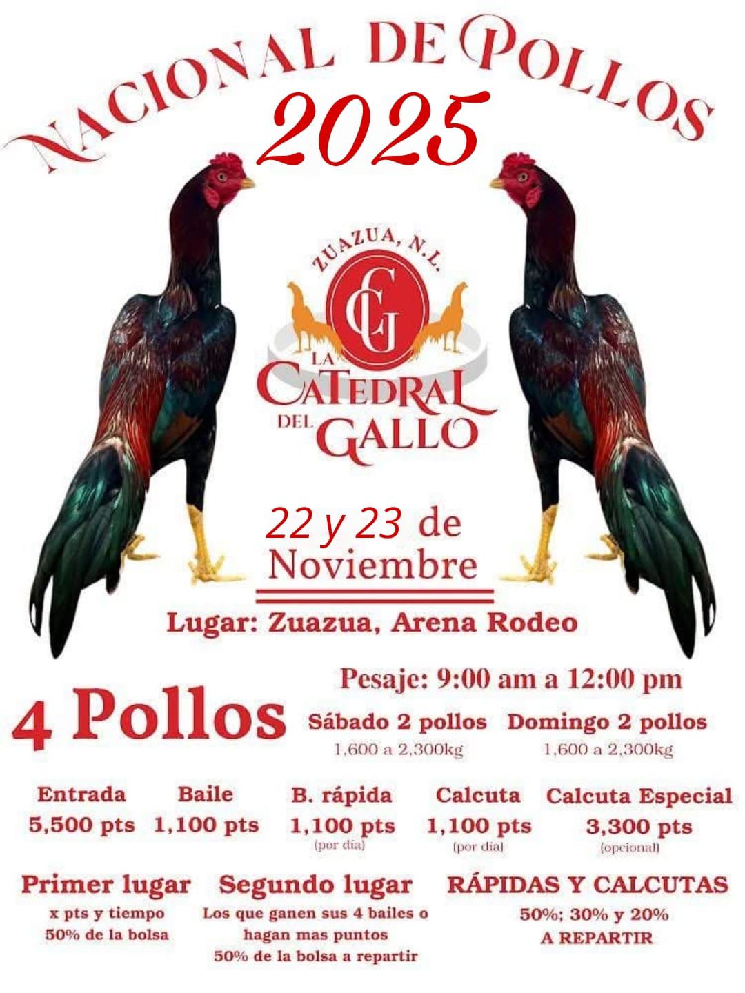 NACIONAL DE POLLOS 2025